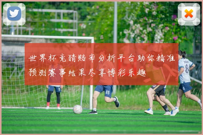 世界杯竞猜赔率分析平台助你精准预测赛事结果尽享博彩乐趣