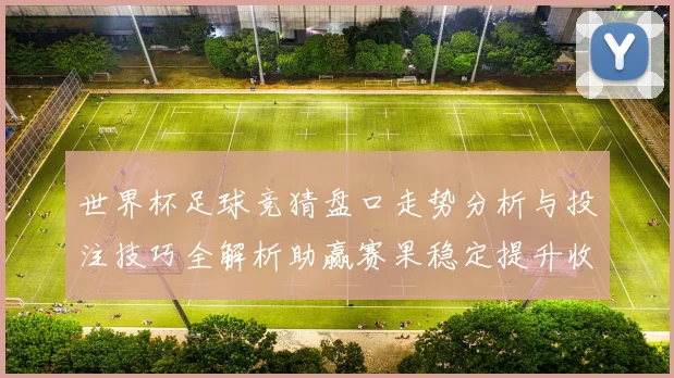 世界杯足球竞猜盘口走势分析与投注技巧全解析助赢赛果稳定提升收益